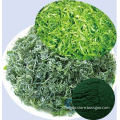 Health slimming Food Spirulina extract powder